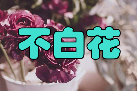 ׻(W(wng)ُ(gu)ʡX(qin))֙C(j)