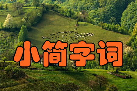 С(jin)~(Z(y))