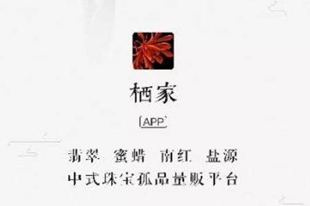 (錚Ļƽ_(ti))app