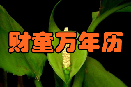 ؔ(ci)ͯf(wn)v((ji)ռ)֙C(j)