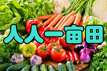 һ(ЙC߲)app