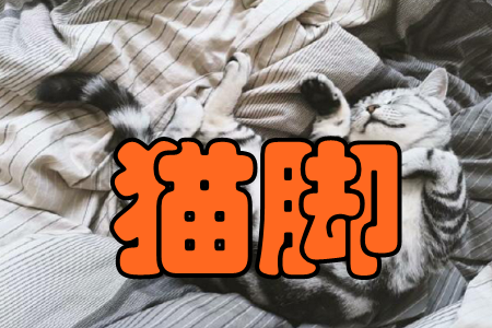 ؈_(˿)֙C