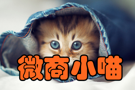 ΢С(๦ܠI(yng)N)
