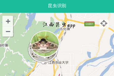 x(Rex)app