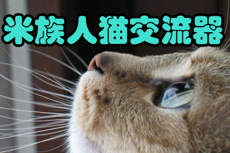 ؈(ZD(zhun)Q)