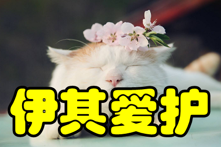 o(h)(A(y)(w))app