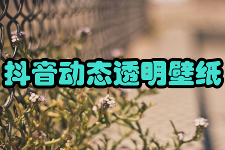 ӑB(ti)͸ڼ(ȫ͸)
