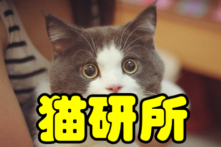 ؈(؈B(yng)o(h)֪R(sh))֙C(j)
