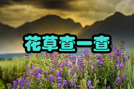 ݲһ(R(sh)e)֙C(j)