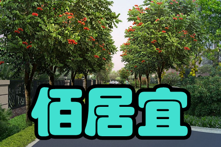 ۾(^(q)(w))