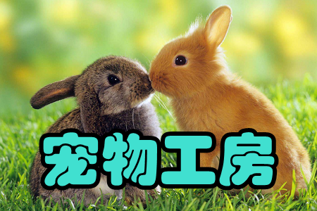 ﹤(Ʒُ(gu))֙C(j)