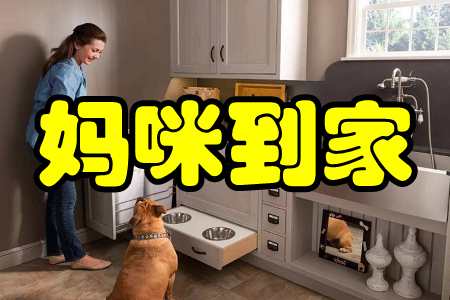 䵽()֙C