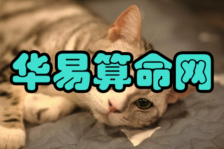AW(wng)(ؔ(ci)\(yn))app