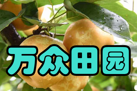 f(wn)@(r(nng)a(chn)Ʒ)֙C(j)