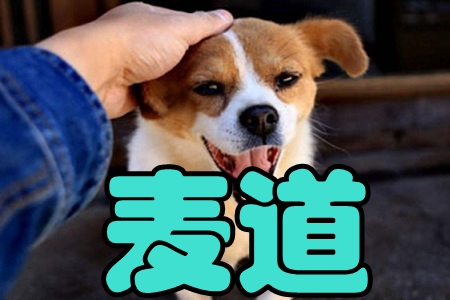 ((w)ƽ_(ti))app