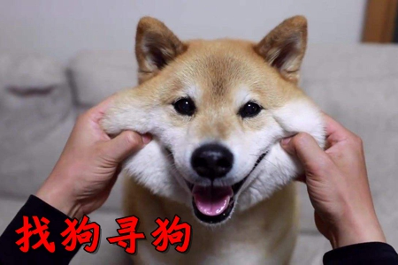 ҹapp(挤(w))