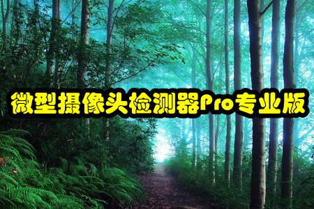 ΢͔z^zy(c)Pro(zhun)I(y)